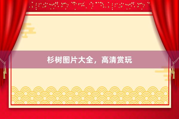 杉树图片大全，高清赏玩