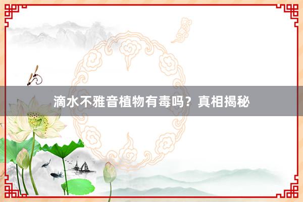 滴水不雅音植物有毒吗?真相揭秘