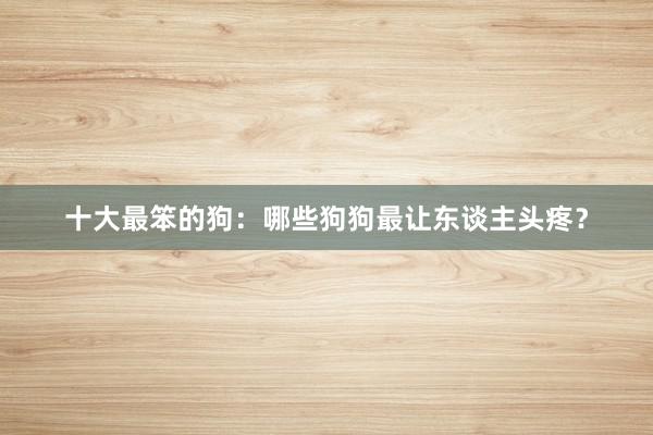 十大最笨的狗：哪些狗狗最让东谈主头疼？