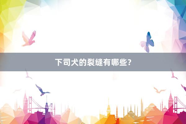 下司犬的裂缝有哪些？