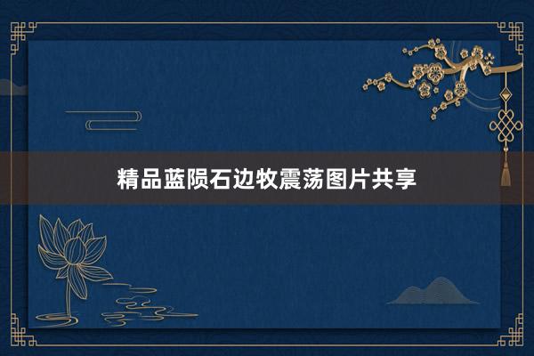 精品蓝陨石边牧震荡图片共享