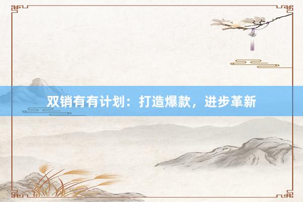 双销有有计划：打造爆款，进步革新